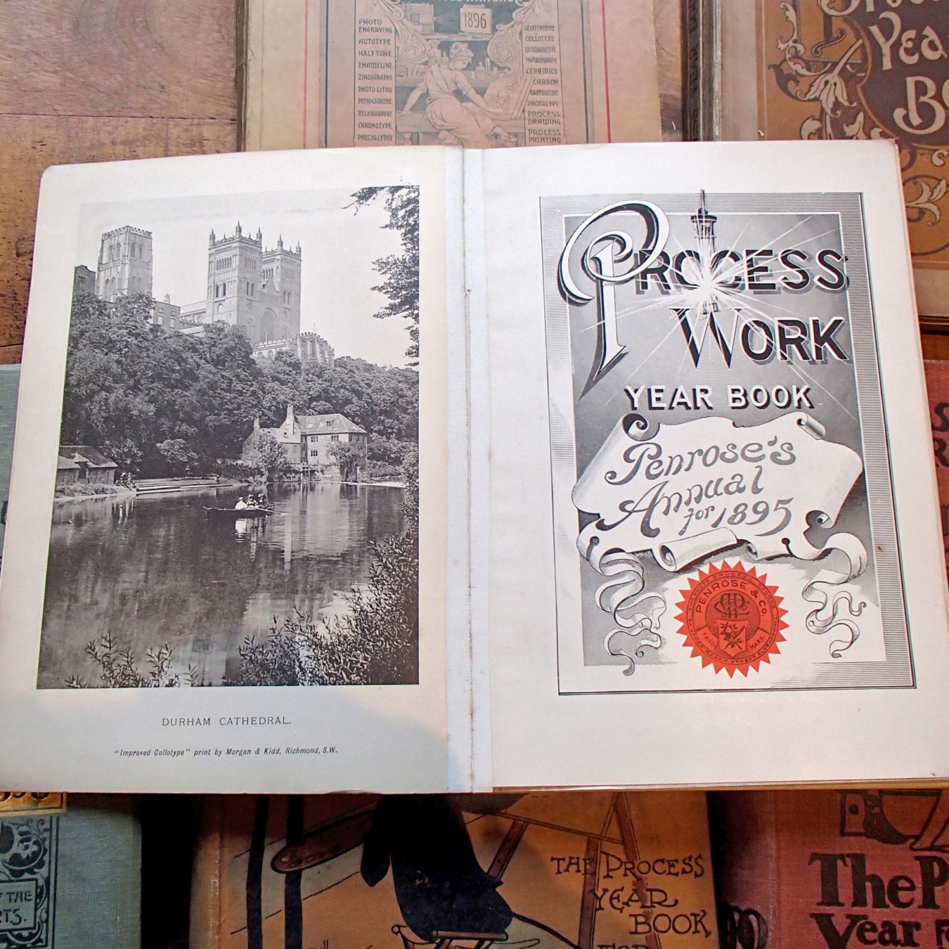 penrose-annuals-for-sale
