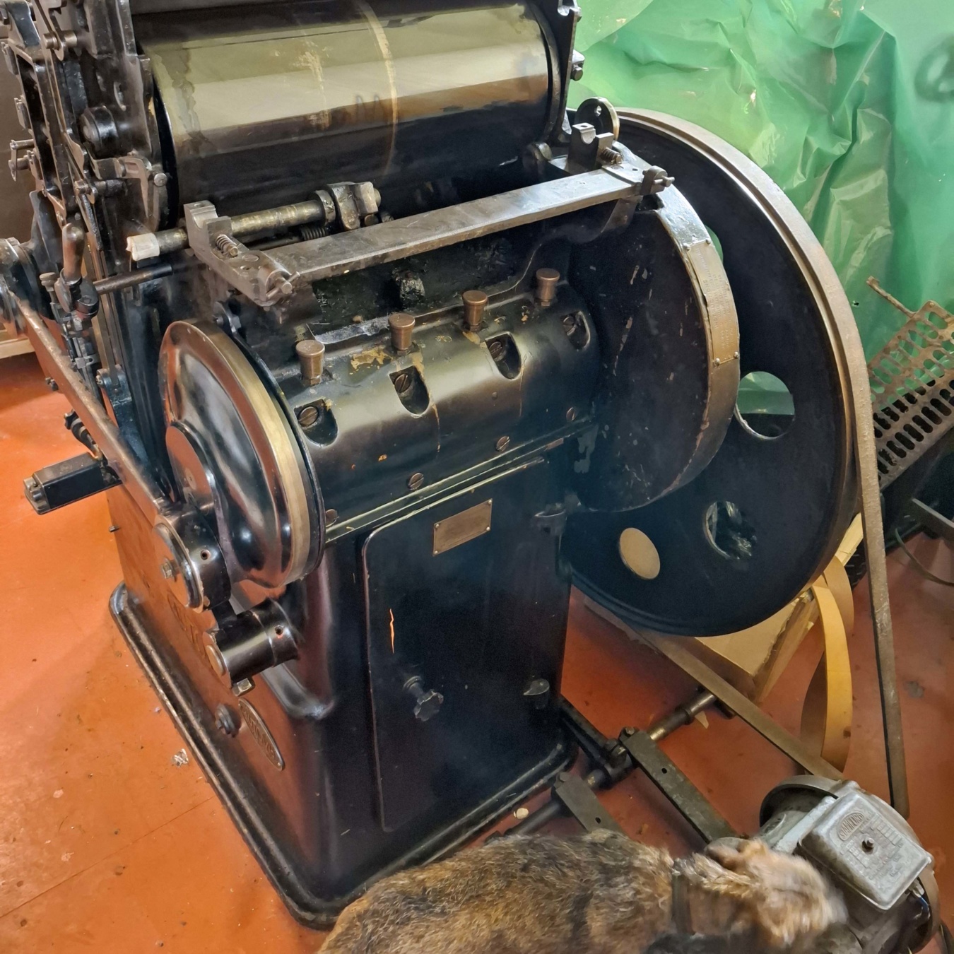autovic-for-sale